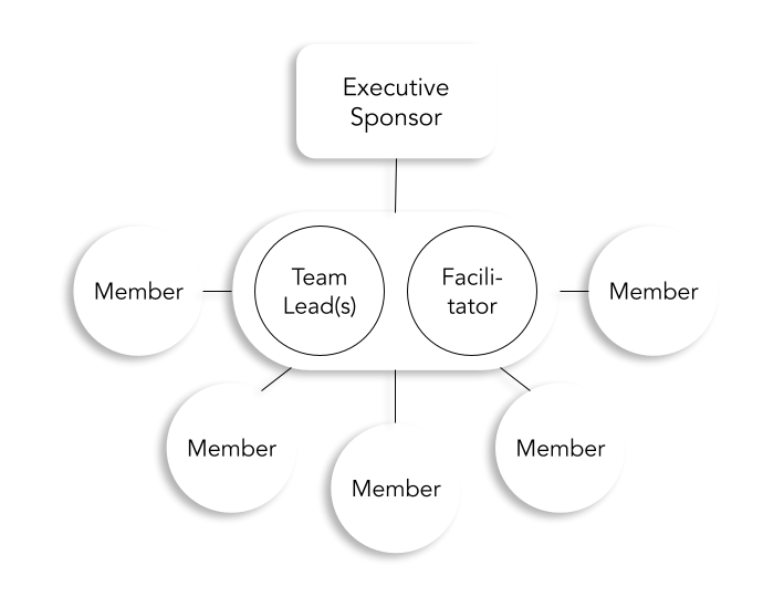 Executive Sponsor box on top. Connects to Team Leads and Facilitators box, which connects out to multiple member circles