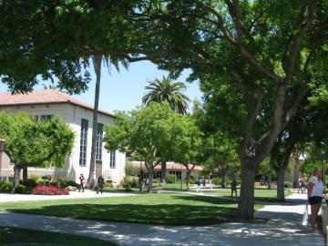 A landscaped area with buildings, trees, and sidewalks.