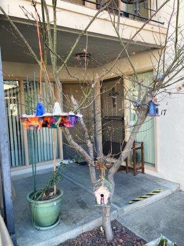 Tree in front of apartment with example egg carton birdfeeder for Garden Play Project