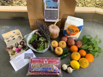 complete resiliency bag with Forge Garden produce, pantry items from Gardner neighborhood corner store, and family educational activity supplies