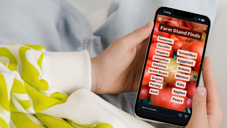 Hand holding a phone displaying an instagram story from the Forge Garden showing weekly farm stand finds, with tomatoes in the background 