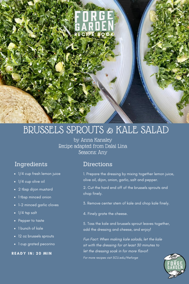 Brussel Sprouts and Kale Salad Recipe - Anna Kanaley