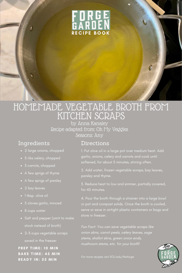 Veggie Broth Recipe - Anna Kanaley
