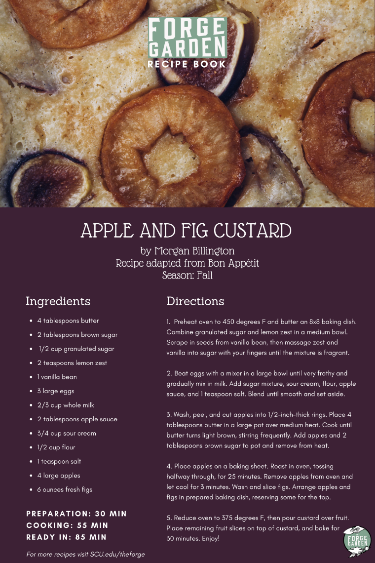 Apple and Fig Custard Recipe - Morgan Billington