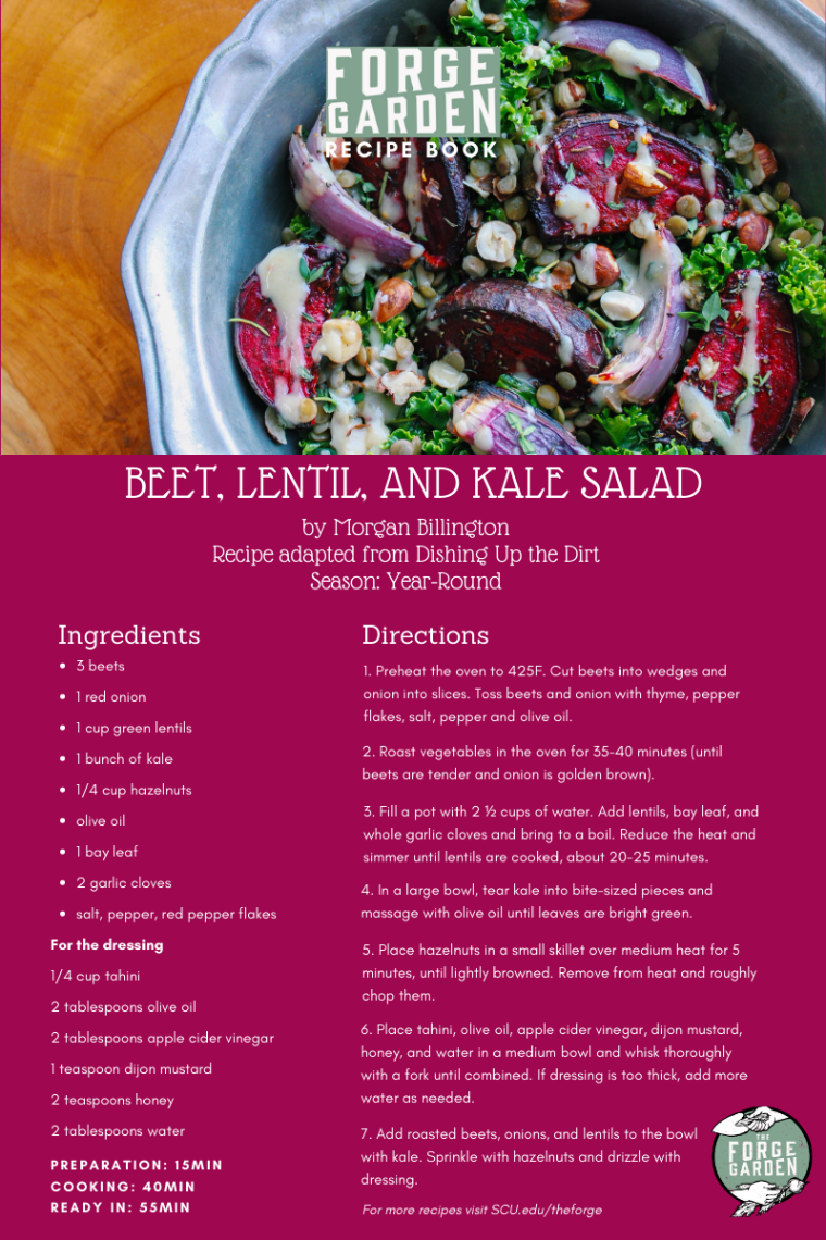Beet, Lentil, Kale Salad Recipe - Morgan Billington