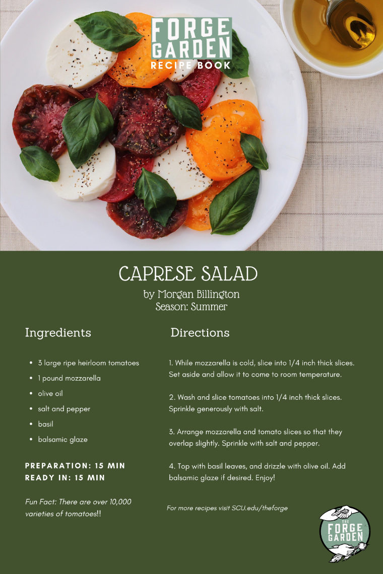 Caprese Salad Recipe - Morgan Billington