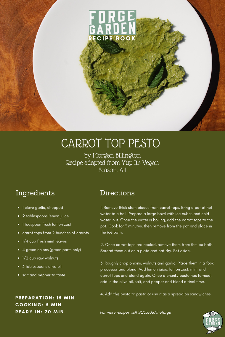 Carrot Top Pesto Recipe - Morgan Billington