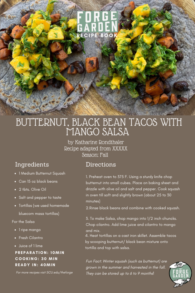 Butternut, Black Bean Tacos with Mango Salsa Recipe - Katharine Rondthaler