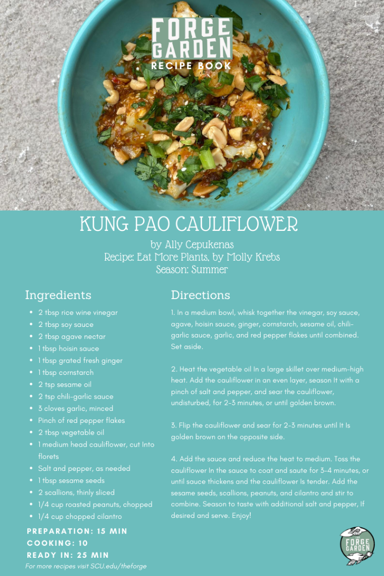 Kung Pao Cauliflower Recipe - Ally Cepukenas