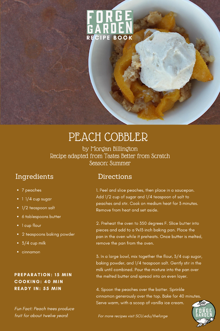 Peach Cobbler Recipe - Morgan Billington