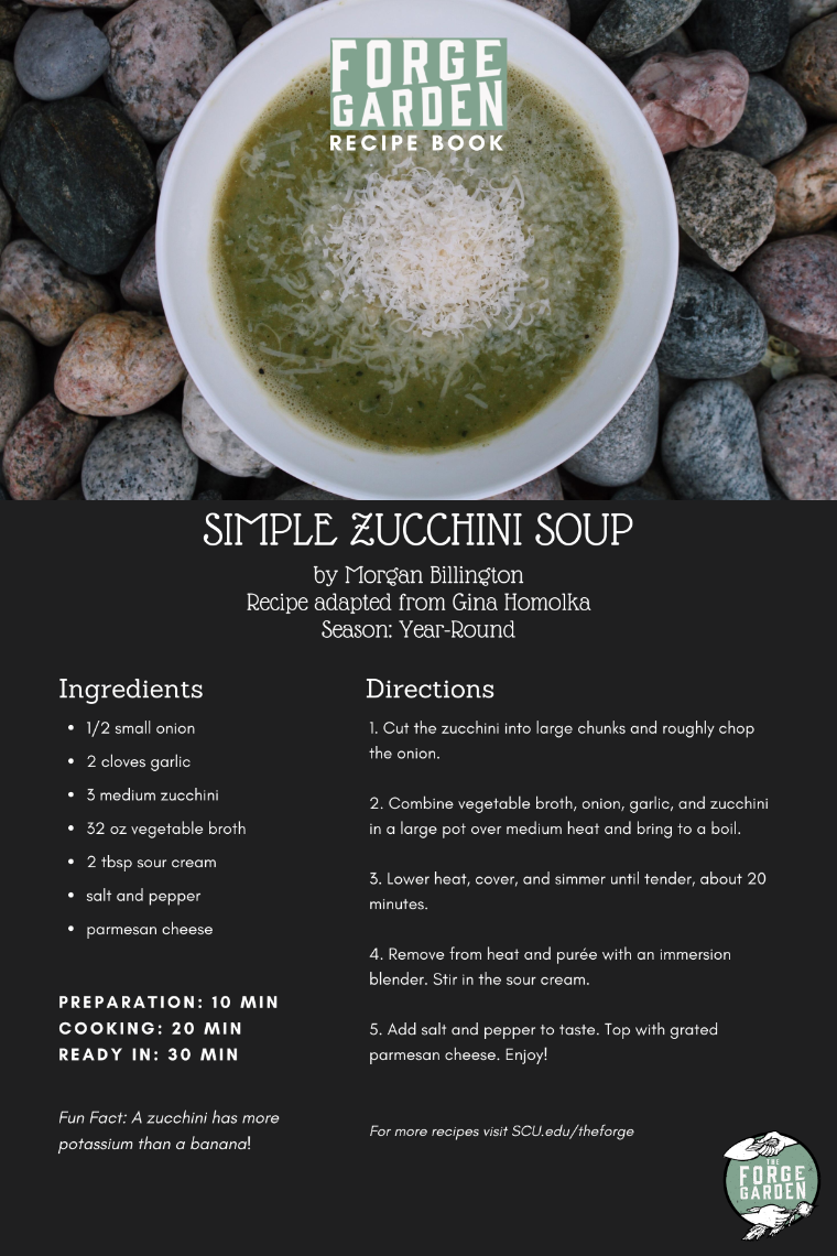 Simple Zucchini Soup Recipe - Morgan Billington