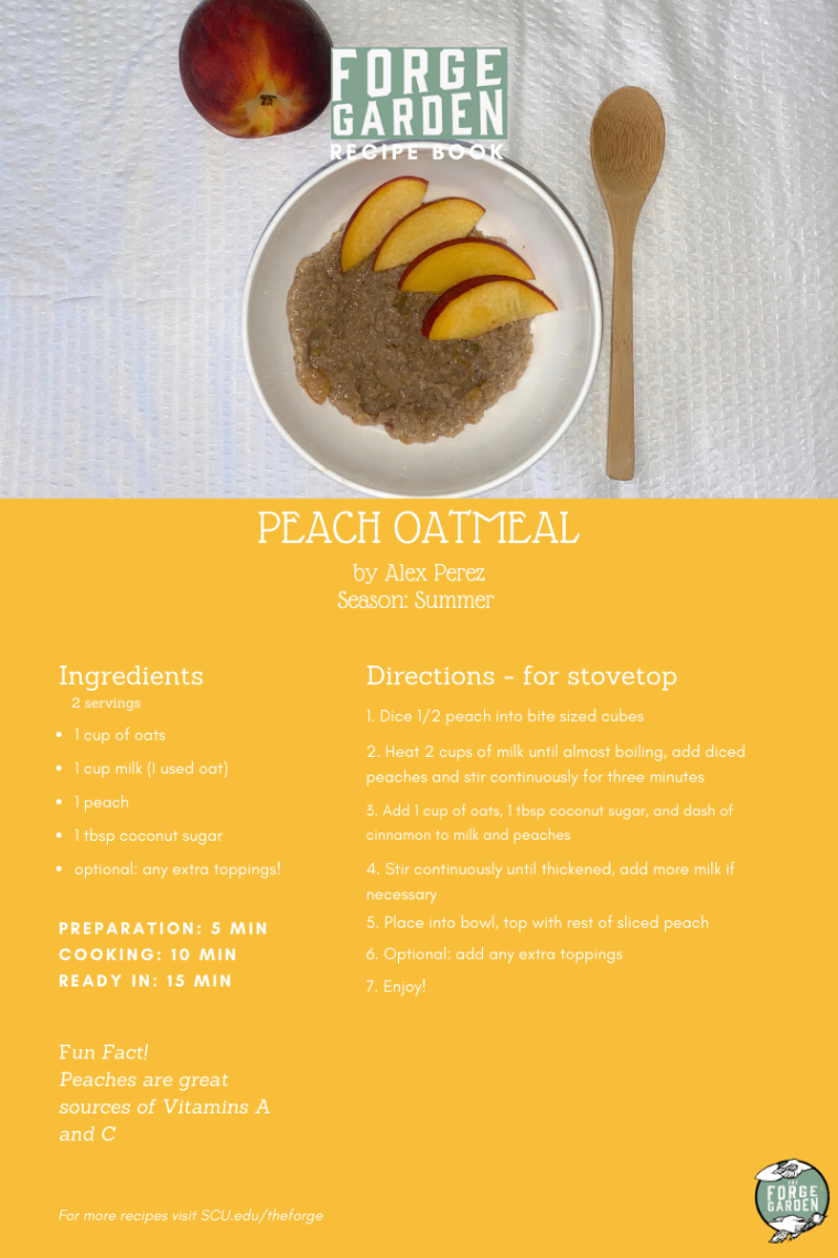 Peach Oatmeal Recipe - Alexandria Perez