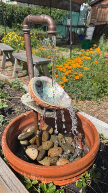 A bucket water fountain with a spigot and abalone shell