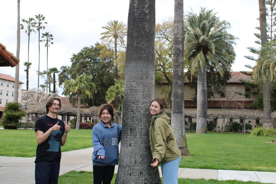 Three students smile and pose with their arms out next to a tree on campus