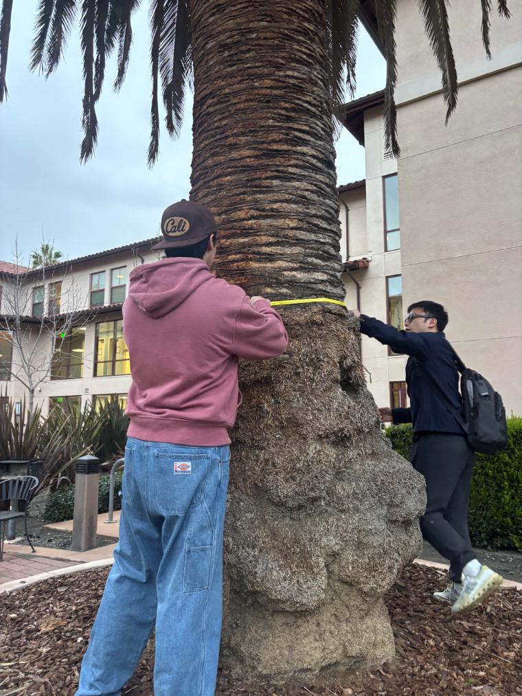 2 Students measuring a tree during tree trackers