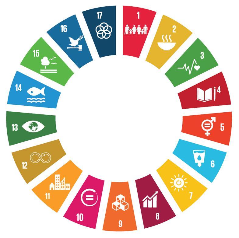 United Nations Sustainable Development Goals in a circle with icons and numbers