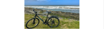 bike parked on meadow by seashore
