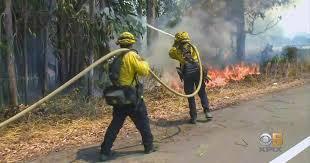 CZU Santa Cruz forest fire fighters with hose 2020