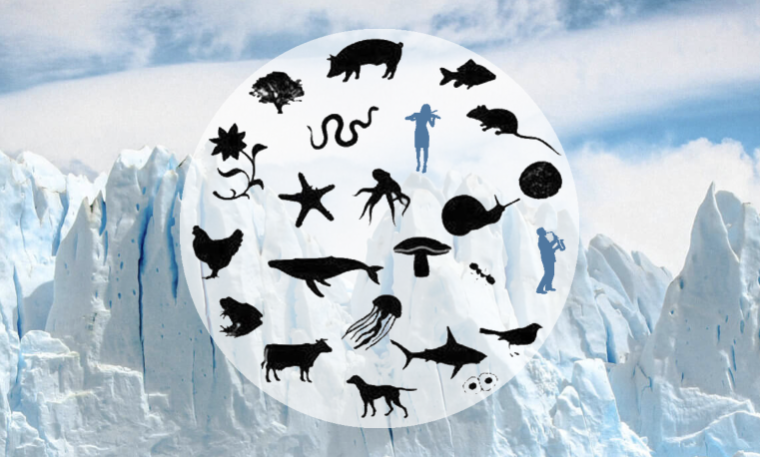 The logo for Musicians for Climate, a circle with silhouettes of animals and two people playing instruments