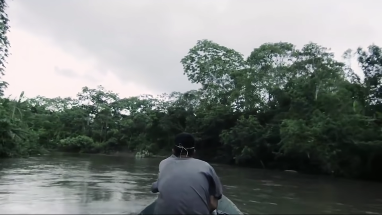 View from a boat riding down a river in the rainforest