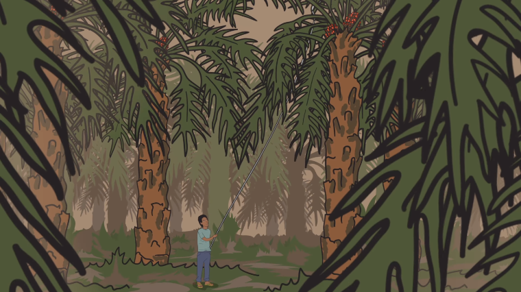 An illustration of a palm tree plantation with a man standing in the middle harvesting fruit