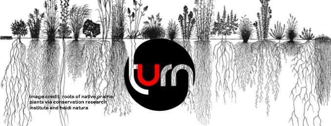 tUrn5 prairie jumbo roots logo with grass and roots background.