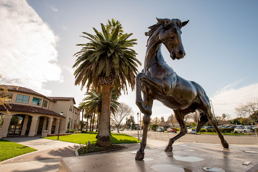 Bronco statue at Santa Clara University image link to story