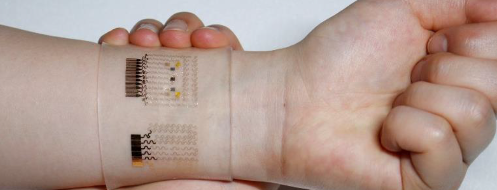 Photo of a biometric wearable on a wrist