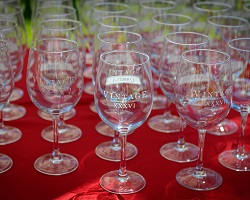 Vintage XXXVI wine glasses on a red table cloth.