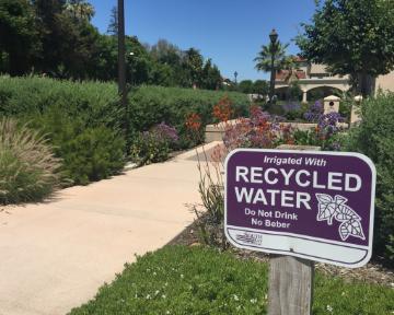 Campus landscaping with recycled water sign in foreground.