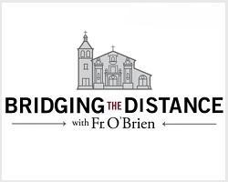 Bridging the Distance logo