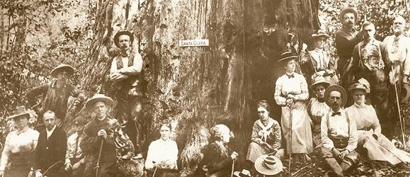 Historic image of people sitting at the base of a large redwood tree with a nameplate stating Santa Clara affixed to the trunk.