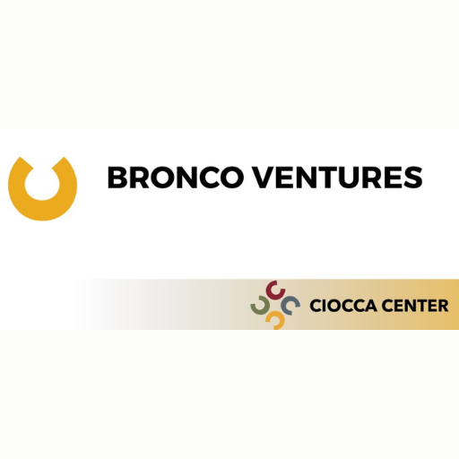 Bronco Ventures Logo 