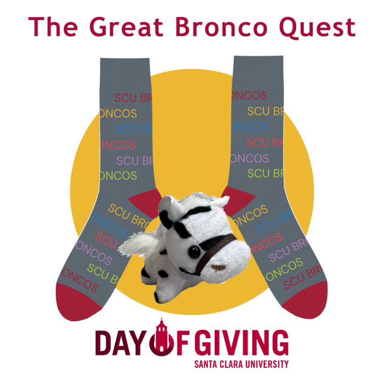 DoG 2024 - The Great Bronco Quest Image