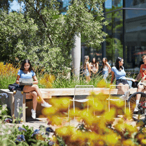 Photos of campus and engineering