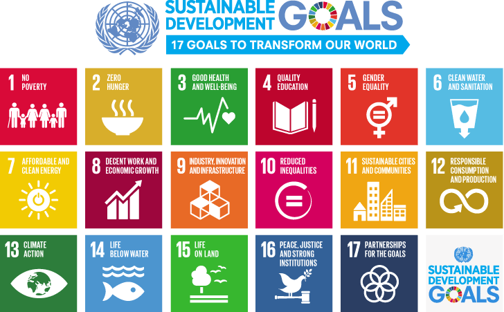 United Nations 17 Sustainable Development Goals, Courtesy of www.un.org image link to story