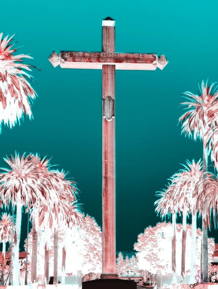 Digital artwork by Nicole Morales depicting palm trees and a street sign reading Palm Drive.