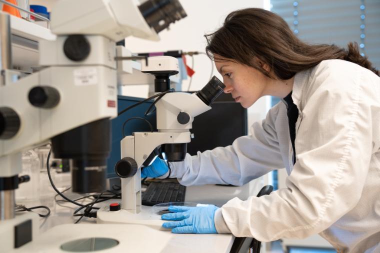 Women graduate student in bioengineering looks through microscope in the bioengineering lab.