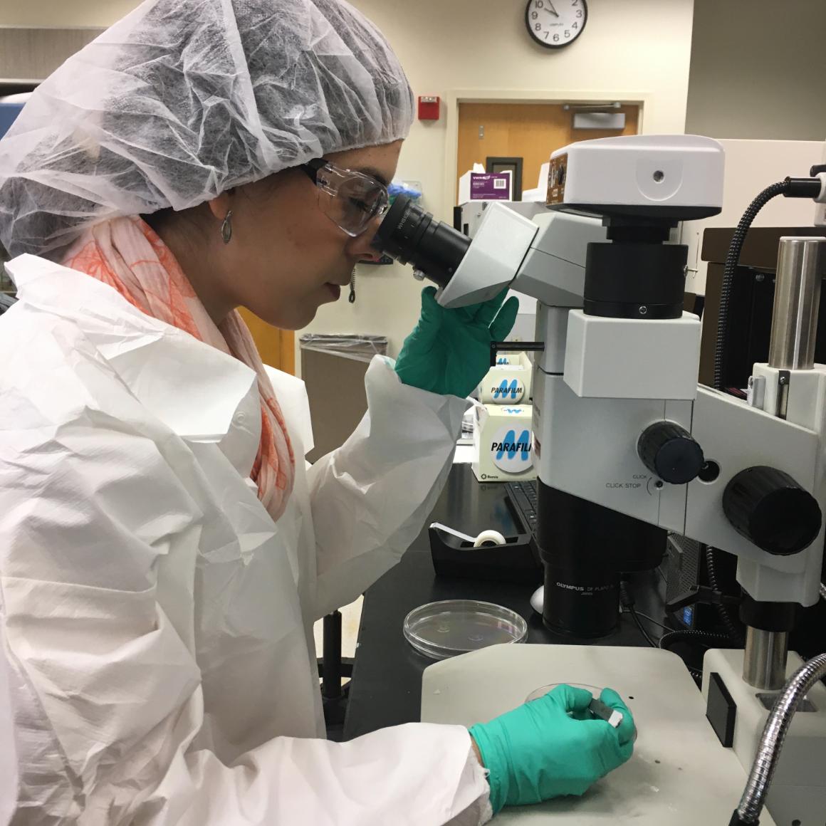 Laura Rivas Yepes, M.S. '20, working at a microscope image link to story