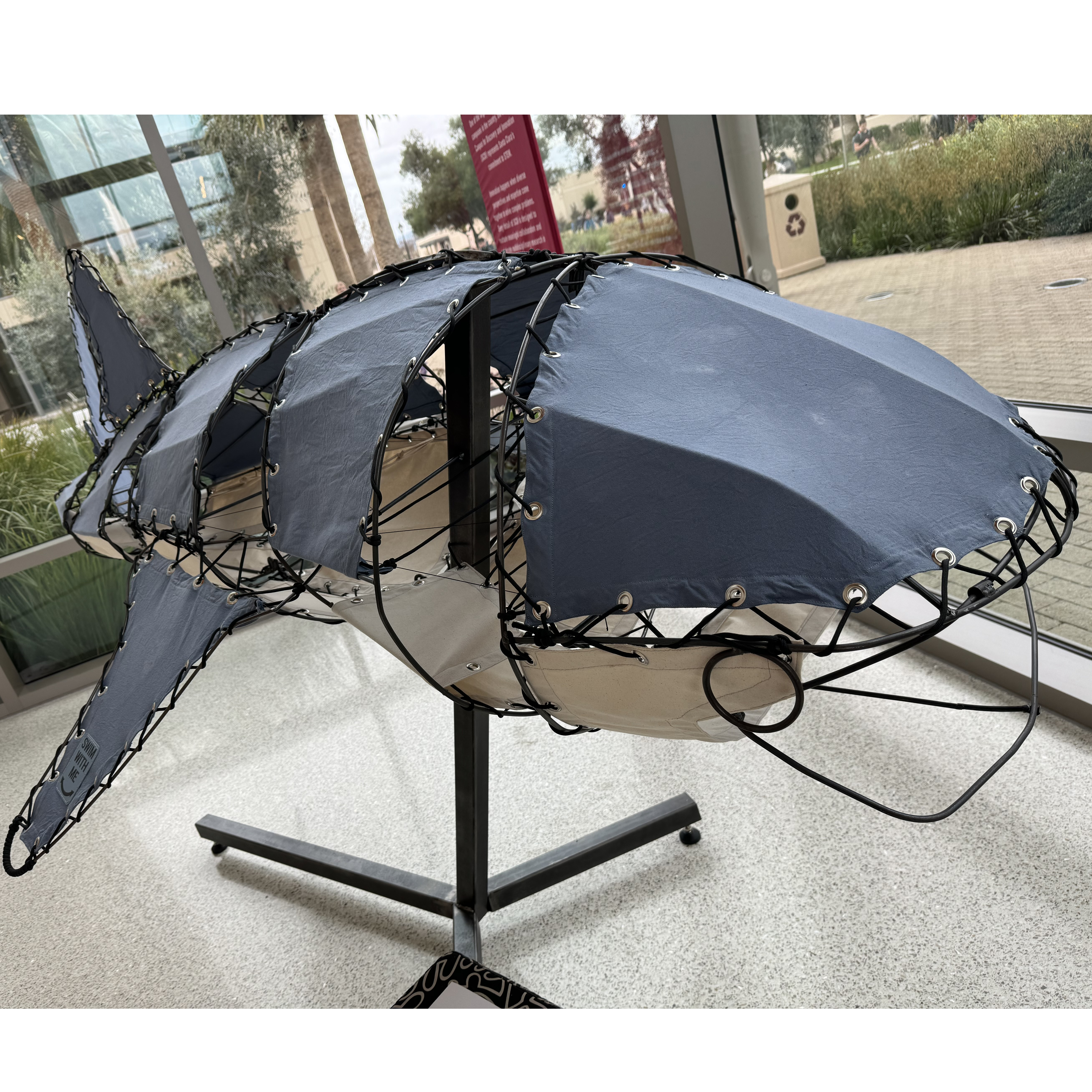 A Photo of the rhincodon typus Art Piece of the Kinetic Art Challenge Winners 2024