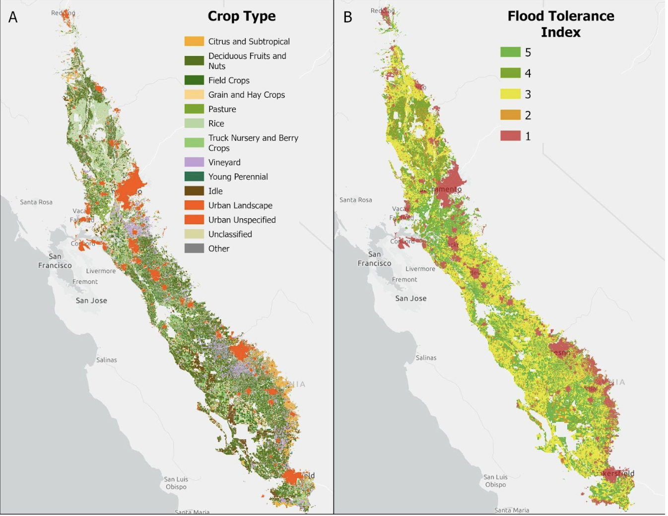 (A) Central Valley 2021 Provisional Crop Mapping Classification (B) Flood Tolerance Index 
