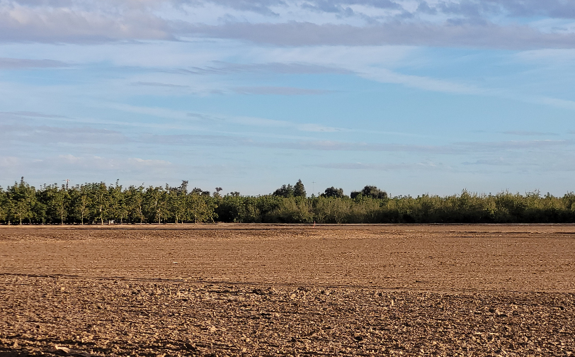 Central Valley agriculture in contrast to the drier surrounding landscape.