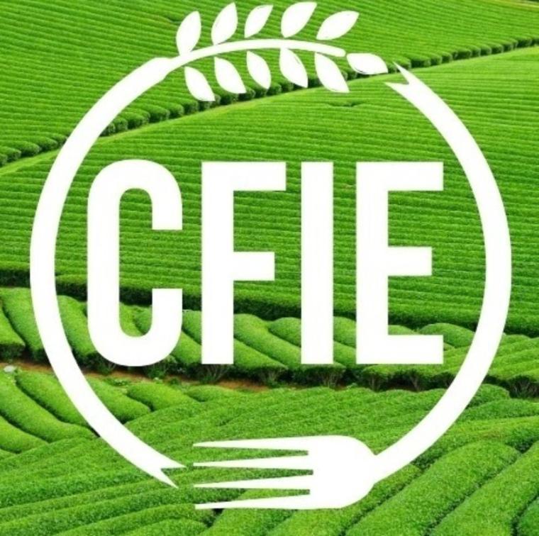 CFIE Logo