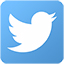 Twitter Small Logo