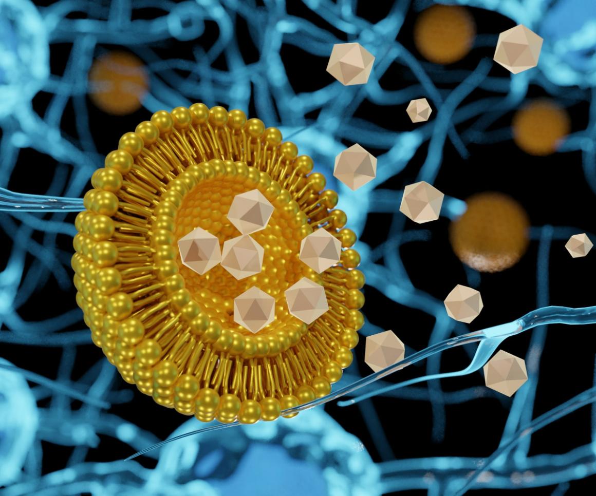 Liposome