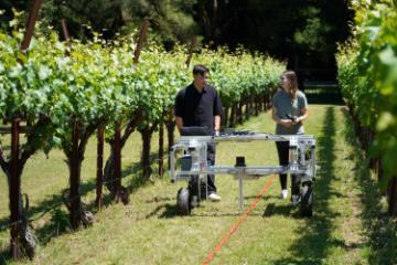 Students testing agricultural robot in a vineyard
