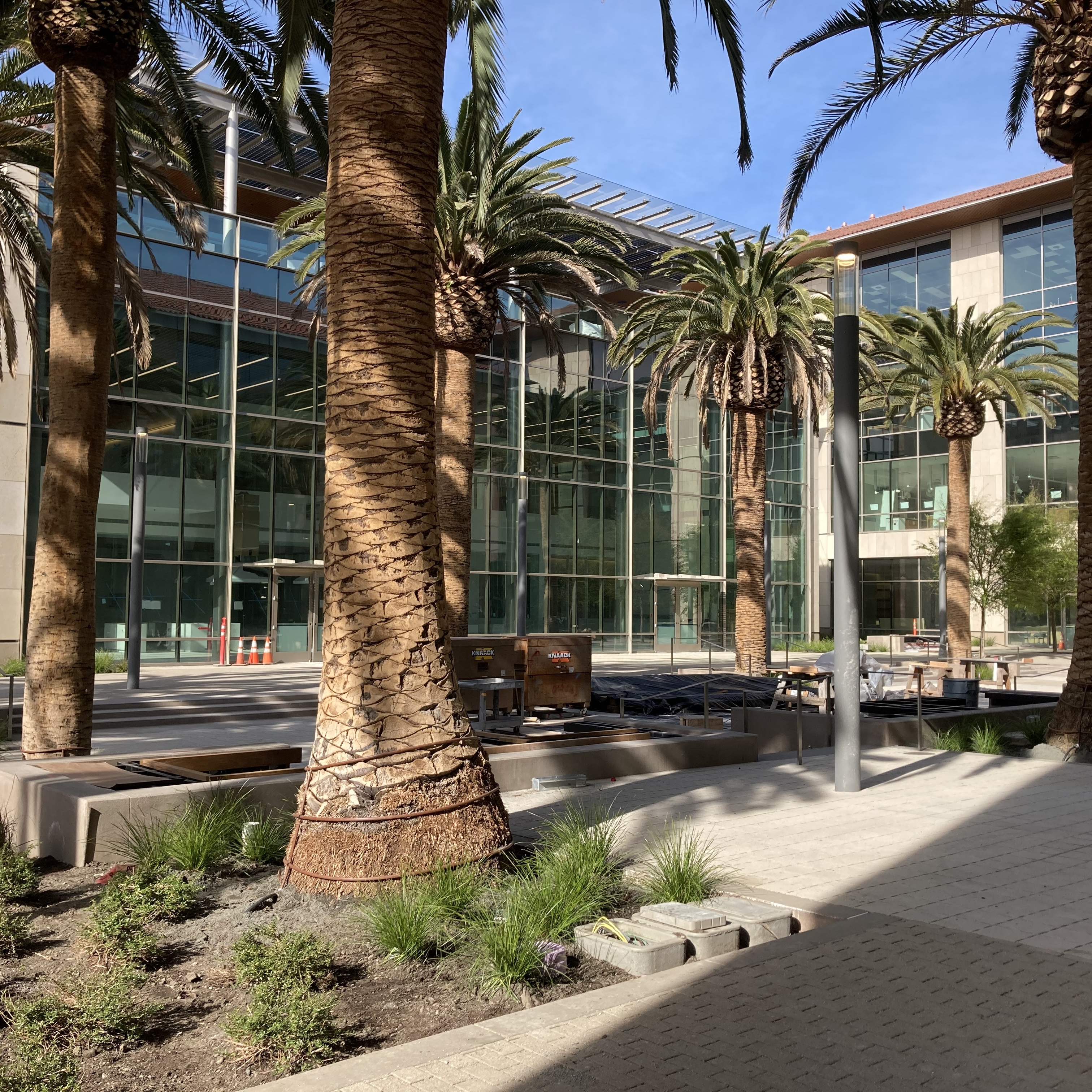 SCDI courtyard under construction but with palm trees planted image link to story