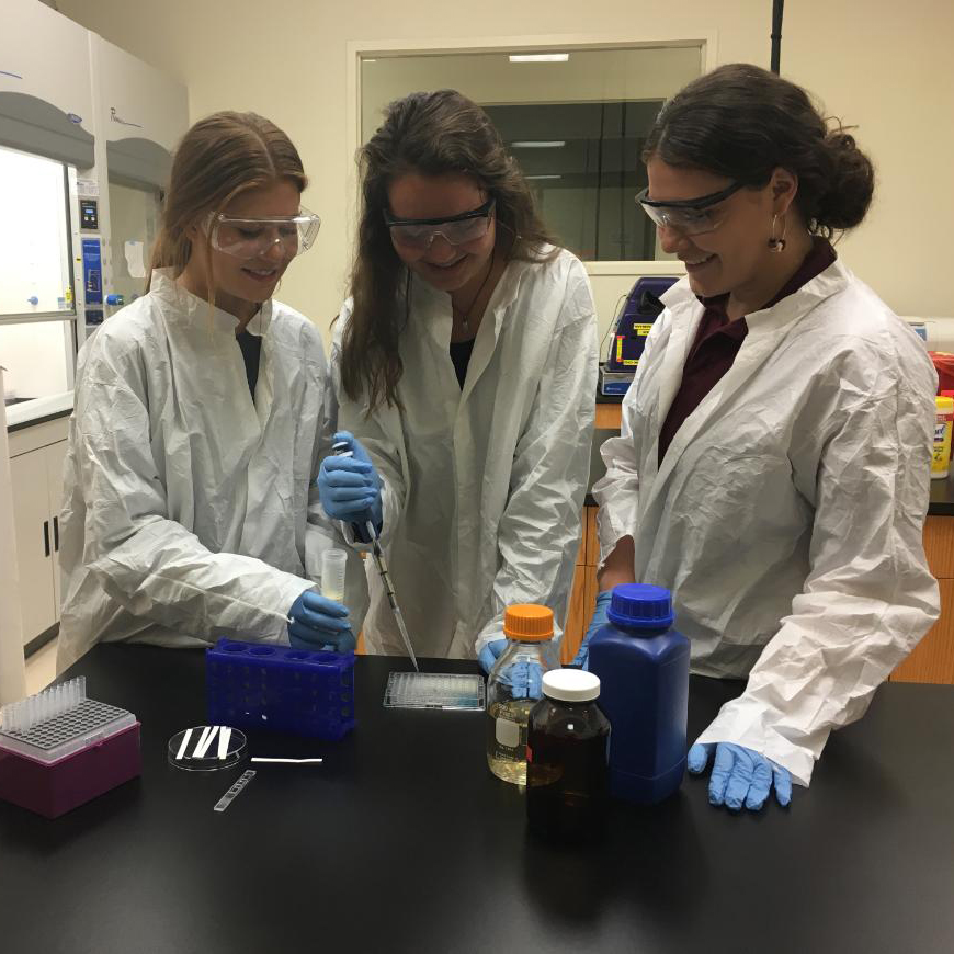 Three bioengineering seniors design a low-cost paper-based sensor to detect the presence of E. coli in human breast milk donated to breast milk banks. image link to story