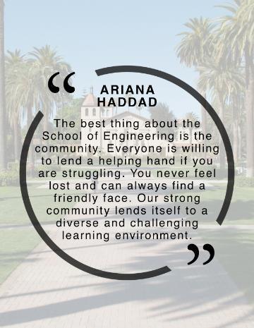 Ariana Haddad Quote, 
