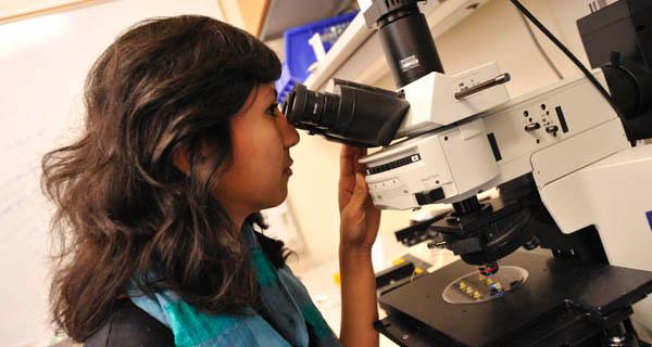  Inspecting microfluidic device under microscope